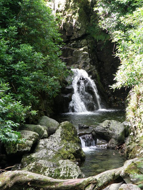 20100814e watervalletje.JPG